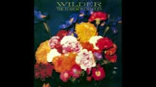 The Teardrop Explodes - The Culture Bunker