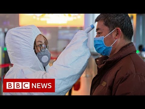 Scientists search for coronavirus vaccine - BBC News