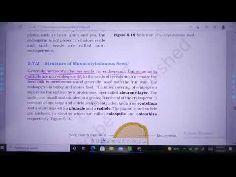 Morphology (NEET-UG 2021quick revision)