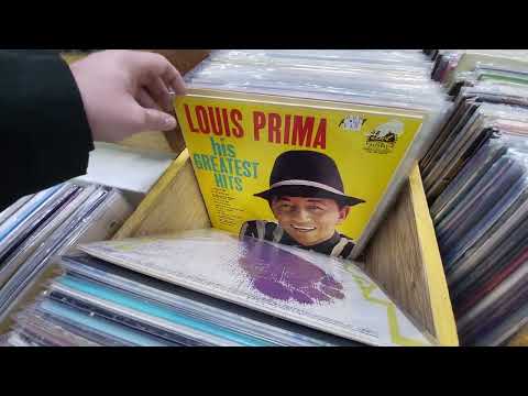 NEW ARRIVALS BINS - Record Collectors Paradise - December 12, 2025