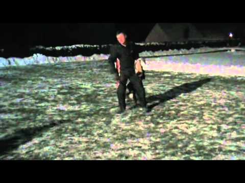 Cassiopea Yucero Bohemia - Defence - 12/2010