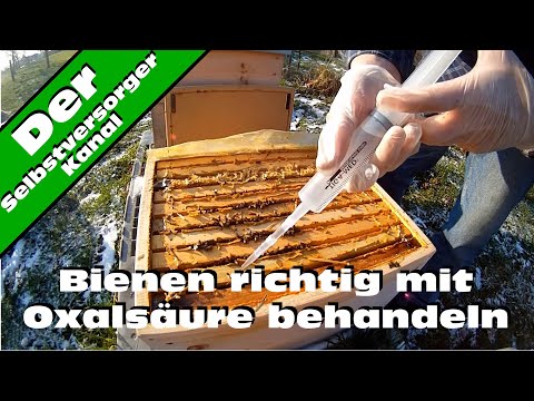 Injektionen und Zäpfchen gleichzeitig mit Prostatitis Propolis und Honig in Prostata-Bewertungen verwendet