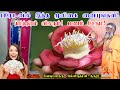 பீரோ வில் இந்த மூலிகை வைத்தால் பணம் த�
