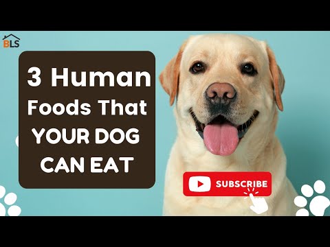 3 HUMAN Foods That Your Dog CAN & CANNOT Eat! MUST WATCH NOW! 🐶🐶🐶