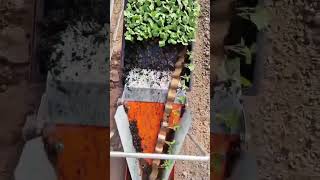 Download lagu Agricultural Technology#agriculture #farming #technology #agriculturemachine #viral #harvest #farmer mp3