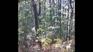 still trying to get a grip on enhancing pics.