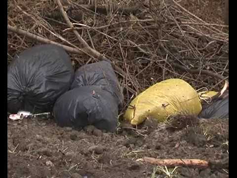 Убрать незаконную свалку на окраине Курска требуют общественники