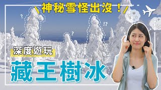 日本東北！藏王樹冰，深入介紹山形縣的神祕雪怪，纜車、冰祭、溫泉、美食。#藏王樹冰 #山形景點 #雪怪