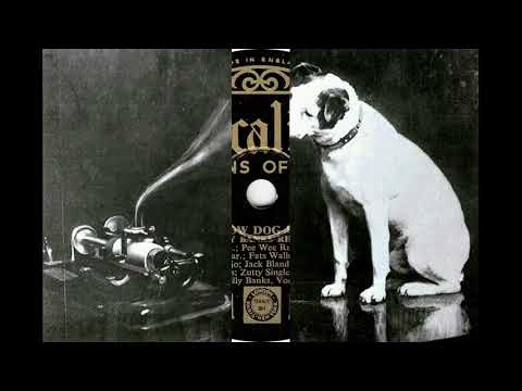 Video thumbnail for Yellow Dog Blues