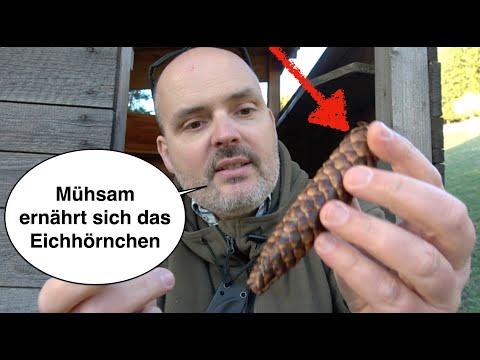 Months of Hunger - Understanding Survival Emergency Food | Survival Training