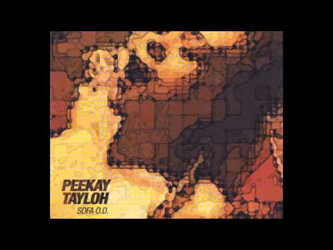 Peekay Tayloh -The Hole You Are Inn [Beefcake Remix]