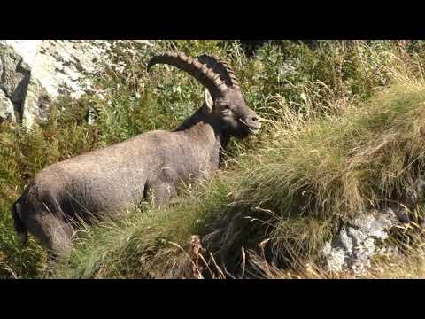 Meraviglie della Montagna (Lago della Rovina)