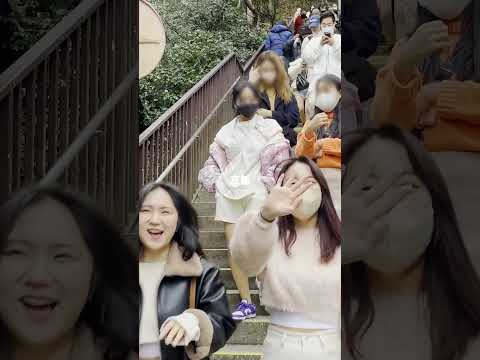 인플루언서와 함께 떠나는 여행 오사카/교토