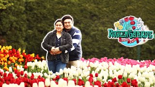 TULIP FARM EXPERIENCE IN WASHINGTON!