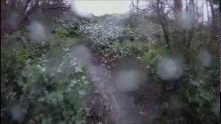 Silkworm at Towers of Power