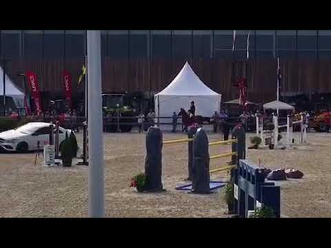 Eldorado Grand Prix 1,55 m