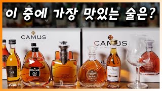 [ 꼬냑 ] 면세점 코냑 | 면세 미니어처 까뮤 5종 비교 시음. VSOP, XO, Extra