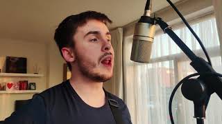 Vincent (Brian Fallon) Cover By Shane McInerney