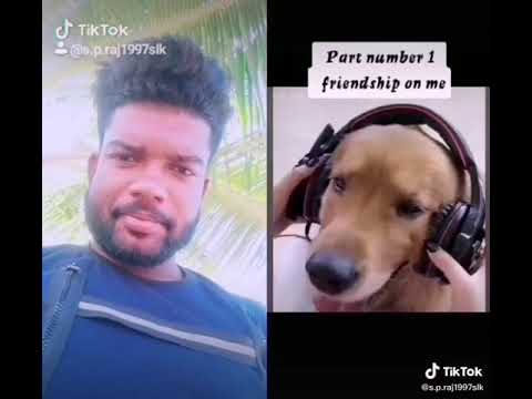 tiiktook so smart doog