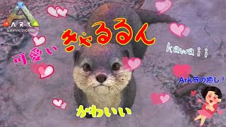 【社会人設定Ark】サバイバル12日目　この生物に癒されてください！！可愛さ爆誕！！？