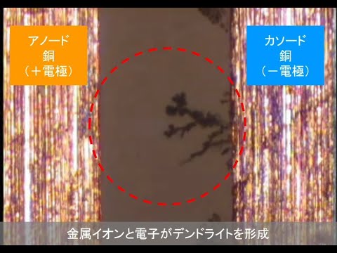 エレクトロマイグレーションについて詳しく解説