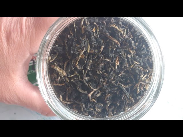 Youtube Video Youtube Video