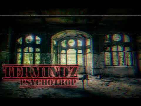TermiNDZ - PsychoTrop