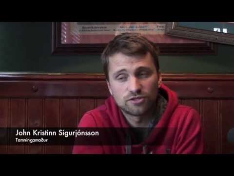 Eru gerðar of miklar kröfur til unghrossa í kynbótasýningum ?