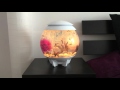 Biorb Halo 15 Aquarium With Mcr Lighting