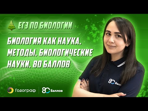 Видео 1