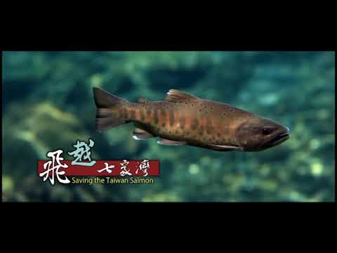 Aerial Video of Taiwan National Parks