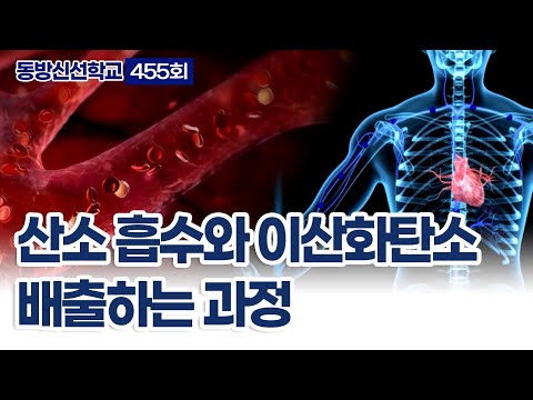 기초(숨) 수행과정
