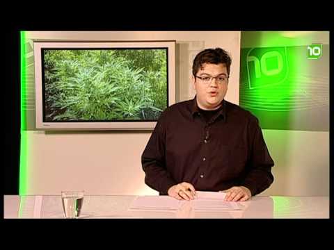 brabant10 nieuws - dinsdag 8 maart 2011