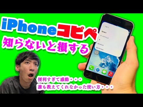 WhatsAppに新機能:送金ショートカット