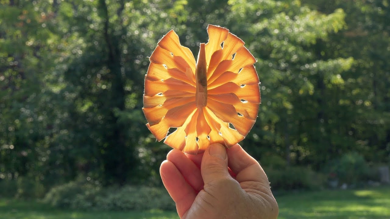 Finnish American Chip Woodcarvers - Official Trailer