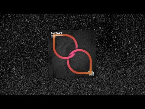 HTLC006 - Shitake - Sirenas del Monte