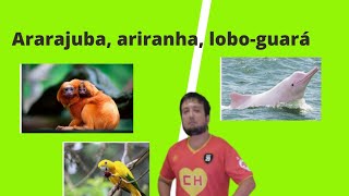 TEMA DE REDAÇÃO PARA O ENEM - COMBATER A EXTINÇÃO DE ESPÉCIES: UM DESAFIO BRASILEIRO.