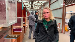 Закон о требованиях к местам продажи животных