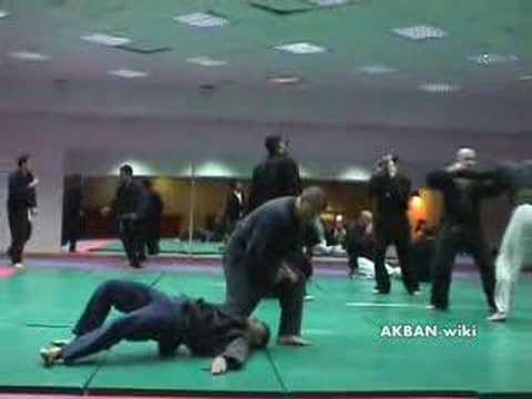 Kakuhi no kata, Koto ryu