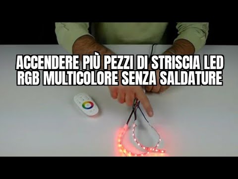 Quali parassiti in intestini della persona Come eliminare vermi a una vacca