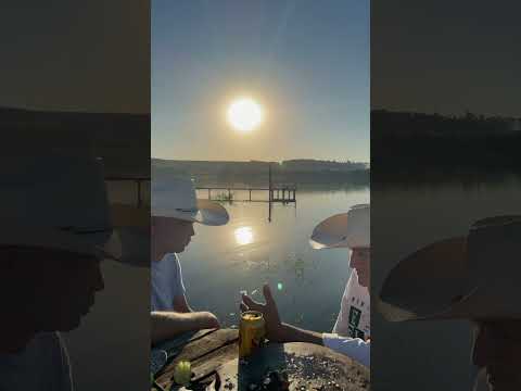 Adquira uma chácara na represa capivara em Alvorada do Sul, Paraná. #shorts