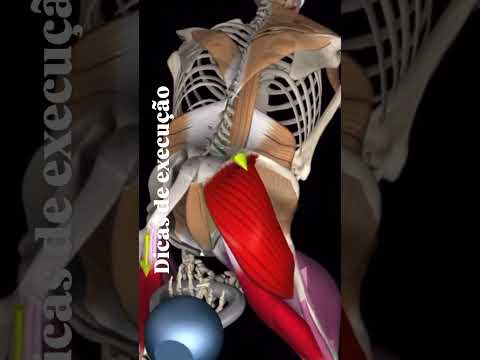 Dica de Execução Kettlebell Swing em São Manuel Dica de Execução Kettlebell Swing em São Manuel