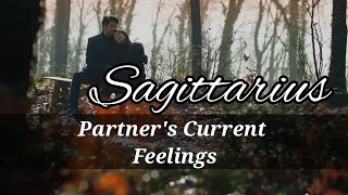 SAGITTARIUS ♐️ PARTNER'S CURRENT FEELINGS TIMELESS ENGLISH TAROT READING 