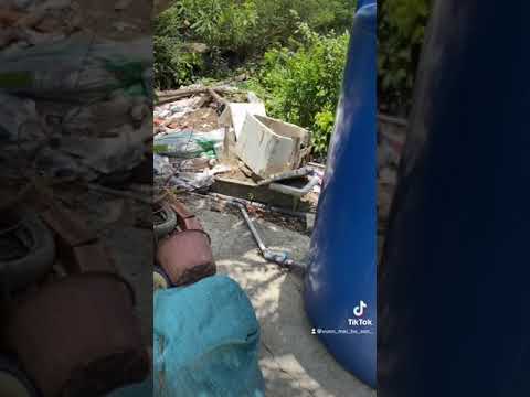 Tuyệt chiêu cứu mai suy