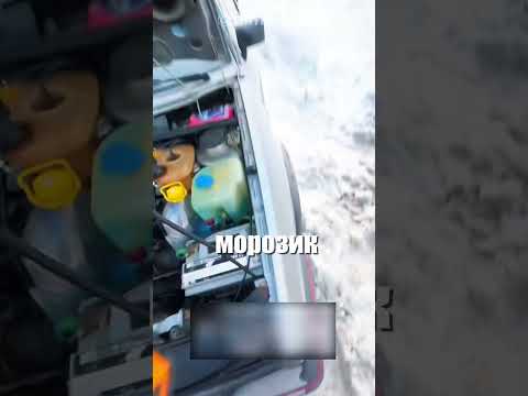 Главное преимущество старых немецких машин в сильный холод