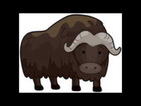 download lagu mp3 mp4 Alle Kinder Lernen Lesen Neuer Text, download lagu Alle Kinder Lernen Lesen Neuer Text gratis, unduh video klip Alle Kinder Lernen Lesen Neuer Text