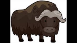 Alle Kinder lernen lesen