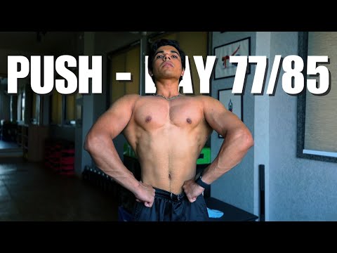 Push - Spring Bulk Day 77/85