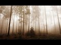 Vangelis - Mouettes [800% slowed, Ambient]