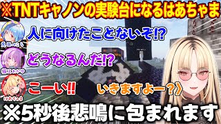 TNTキャノンの実験台になるはあちゃまに訪れるまさかの結末で一同を沸かせる虎金妃笑虎【ホロライブ/ホロライブ切り抜き】